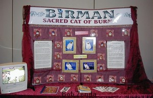 Birman