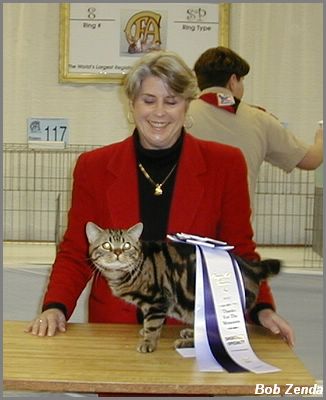 CaellcatsCaliforniaDapperDan