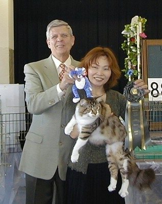 Jayhawkcats TinMan of MarvelCoon