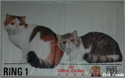 DSC 1249