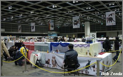 DSC 1330