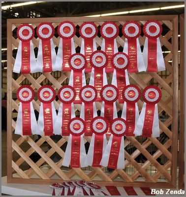 Rosettes