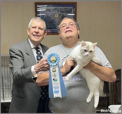 Texas Hyades of Cajundoll - Best HHPet