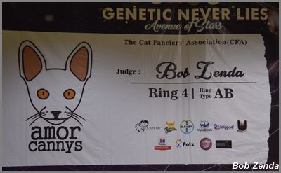 Ring Sign